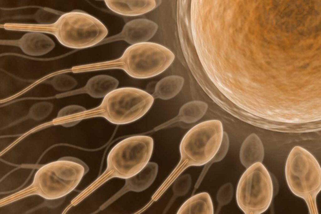 Como o estilo de vida impacta a fertilidade masculina