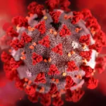 HIV: dois novos casos de remissão após tratamento com células-tronco