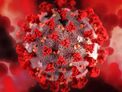 HIV: dois novos casos de remissão após tratamento com células-tronco