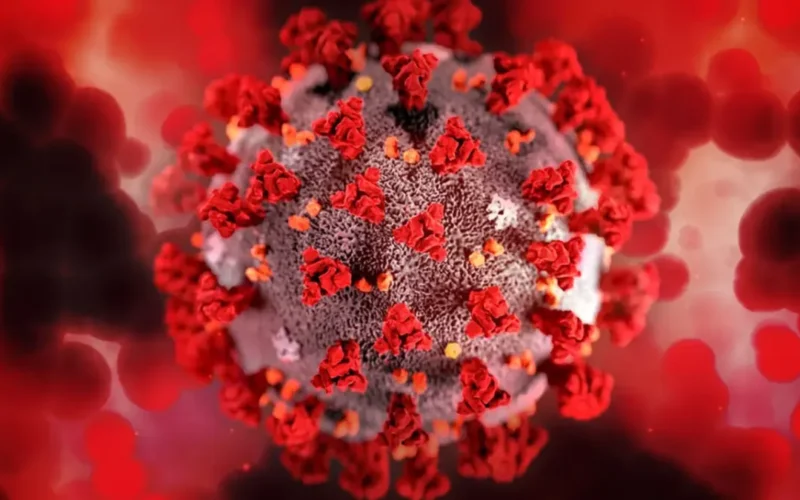 HIV: dois novos casos de remissão após tratamento com células-tronco