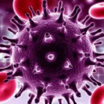Cura do HIV: 2 novos casos elevam para 13 remissões
