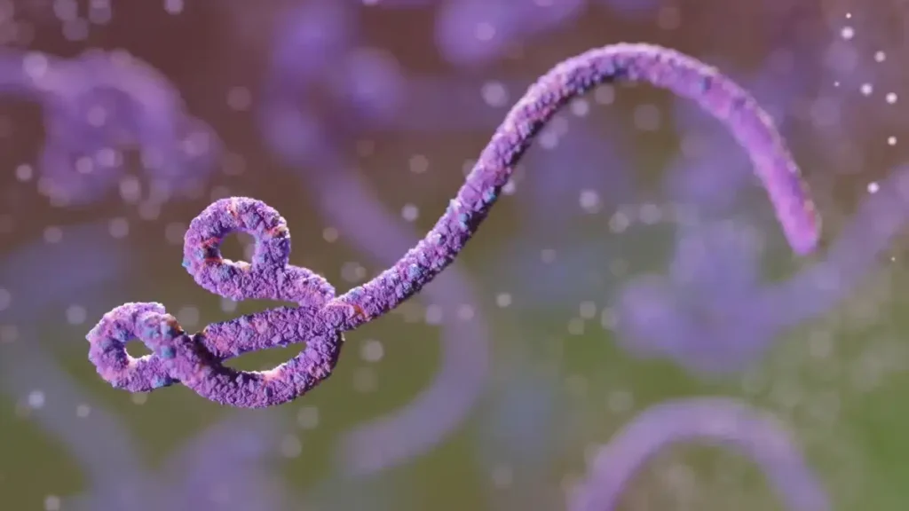 Ebola no Congo: surto já é o 2º maior da história