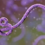 Ebola no Congo: surto já é o 2º maior da história