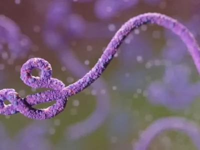 Ebola no Congo: surto já é o 2º maior da história