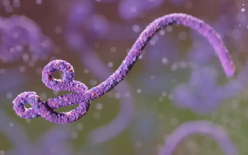 Ebola no Congo: surto já é o 2º maior da história