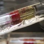 Testosterona pode reduzir fertilidade masculina